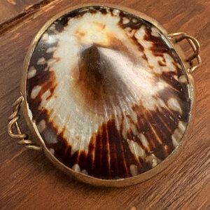 Vintage Seashell Trinket Case with Brass Accents